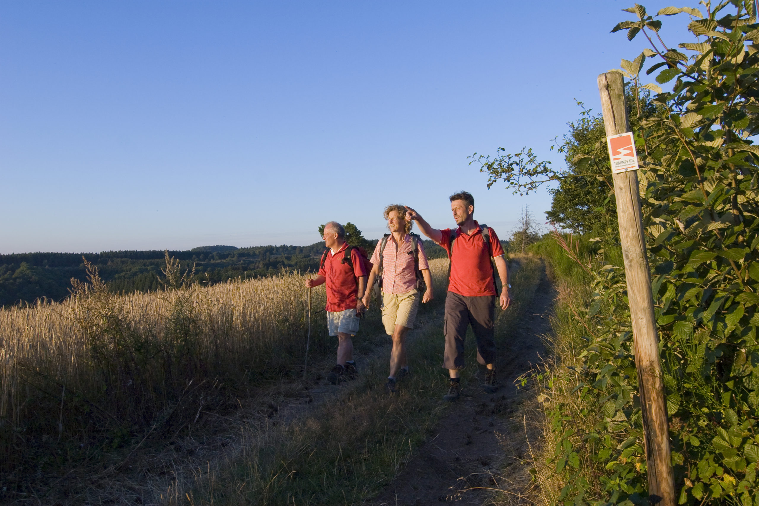 Traumpfade: Virneburgweg